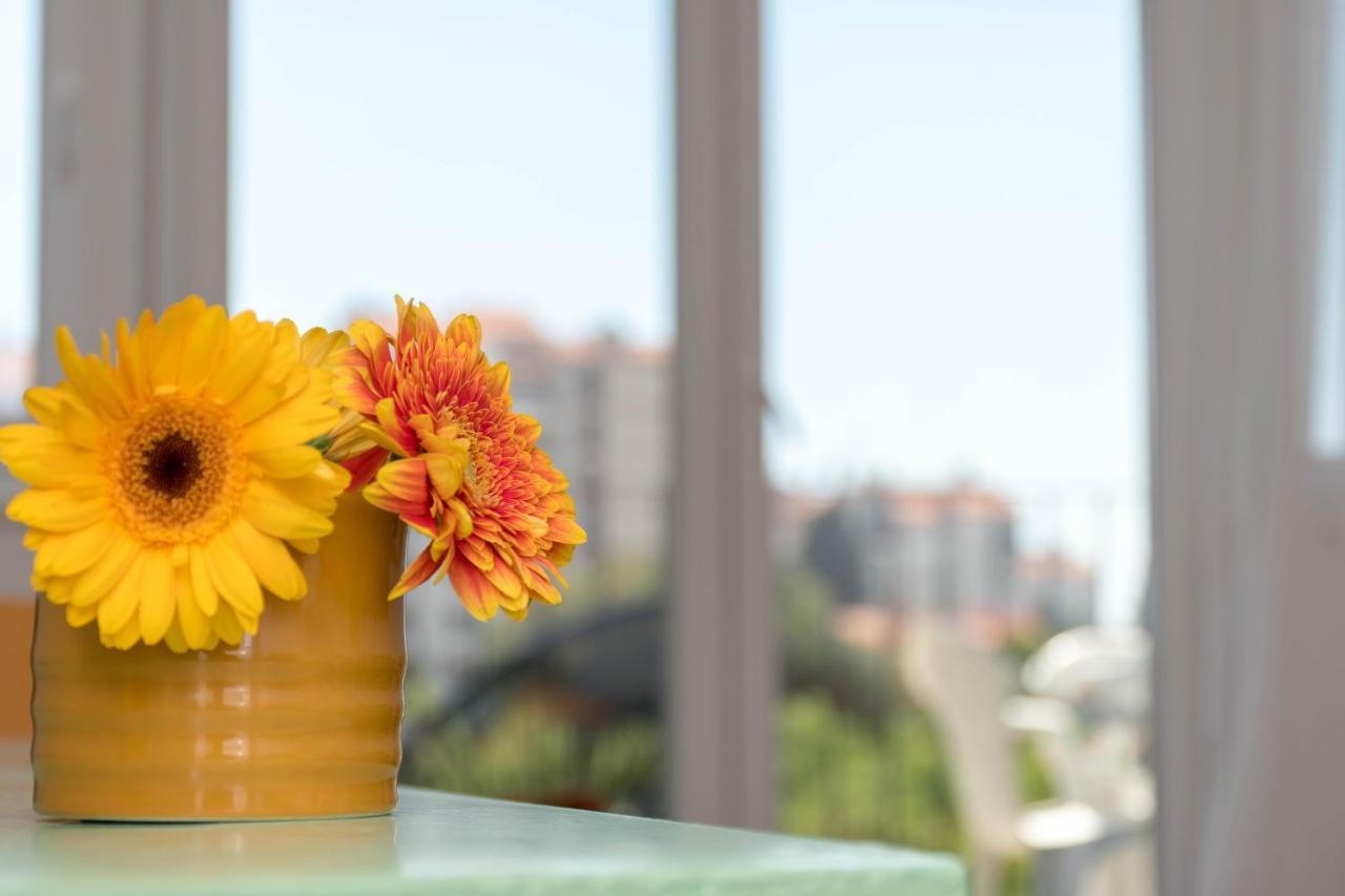 Nona Mileva Apartment Пула Екстер'єр фото